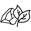 ico02